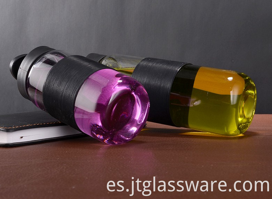 Portable Glass Water Bottle